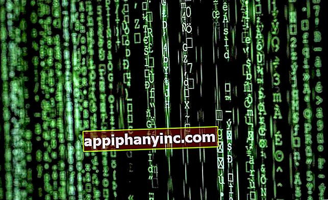 Hur man krypterar en fil på Android, Windows, iOS, Linux och MacOS