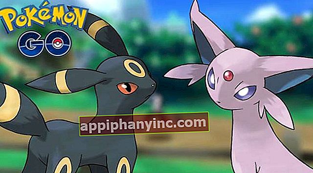 Pokémon GO: Kako priti do novih evolucij Eevee