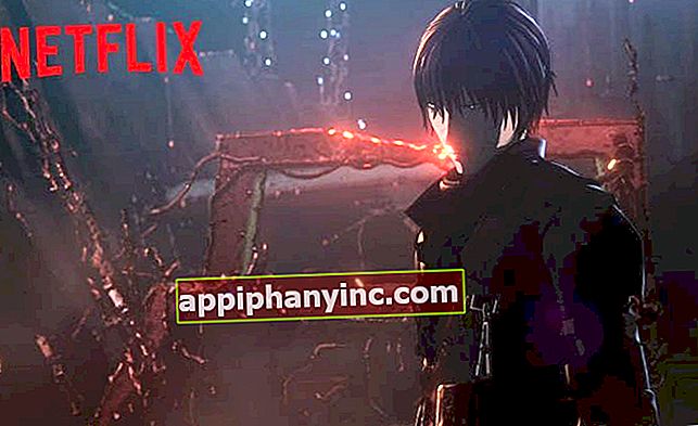 Skyld!, Den siste flotte Netflix-anime